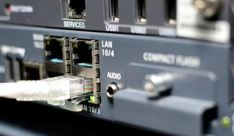 Server with networking cable Foto stock