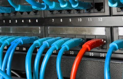 Server rack with blue and red internet patch cord cables Stock Photos