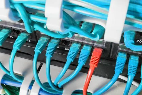 Server rack with blue and red internet patch cord cables Stock Photos