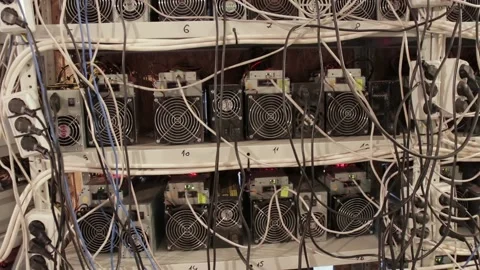Server room for crypto currency mining. Back side of working data servers Stock Footage 127023347