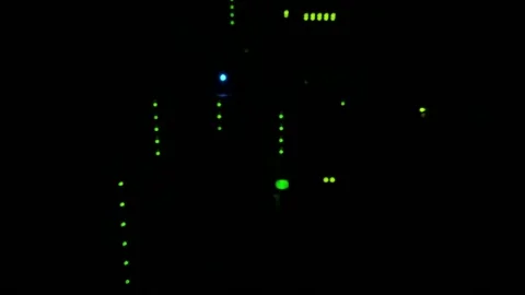 Servers blinking in dark data center Stock Footage 155486731
