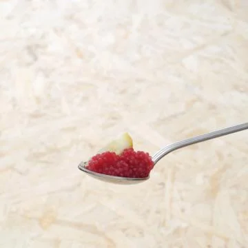 Serving the appetizer, square Stock Photos