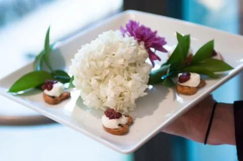 Serving appetizers Stock Photos