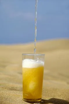 Serving beer in desert Stock Photos