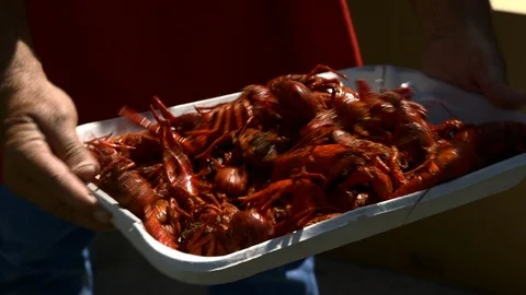 Serving Boiled Crawfish Vídeos de archivo 111078372