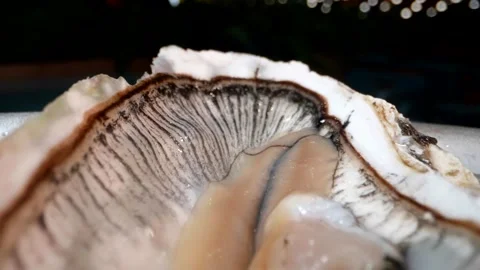 Serving fresh oysters on ice, decorated with herbs and lemon, creates an appetiz 库存影片 290198297