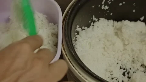 Serving freshly cooked white rice from rice cooker to plastic container 스톡 동영상 335136290