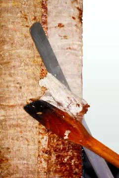 Serving gyro Foto stock