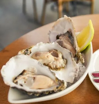 Serving of high quality oysters Stock Photos
