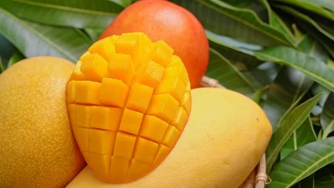 Serving mango on full frame green leaf background, summer fruit harvest concept Stock Footage 125678341