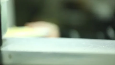 Serving pasta in a restuarant Stock Footage 133206949