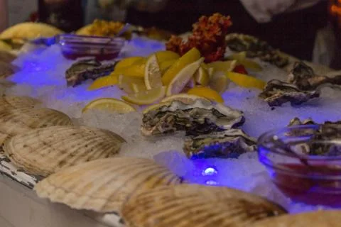 Serving place with ice, lemons, shells and oyster sauce 스톡 사진