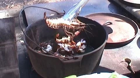 Serving Red Claw Stock Footage 247096949