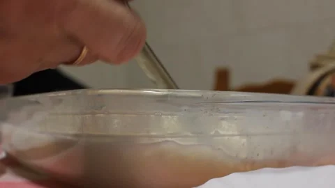 Serving rice pudding at home Stock Footage 324682013