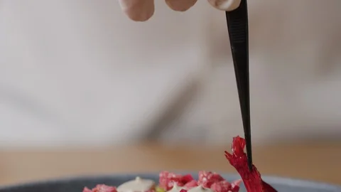 Serving Tar Tar on dish macro shot, five star meal 스톡 동영상 128485177