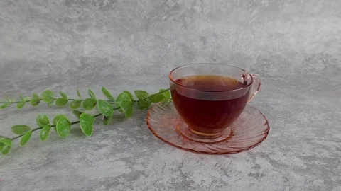 Serving Tea in Glassware with Decorative Plant Still Life Stock Footage 313359986