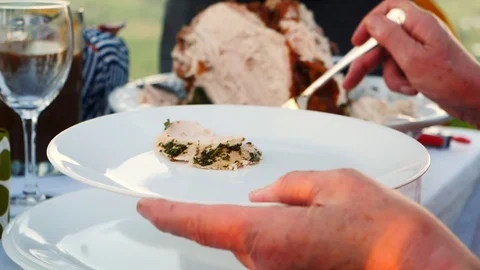 Serving Turkey Stock Footage 105695102