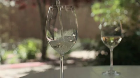 Serving  two glasses of wine in the garden Stock Footage 143773318