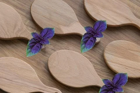 Serving wooden boards diagonal pattern purple-green basil sprigs. Copy space Stock Photos