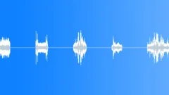 SERVOSound Effect