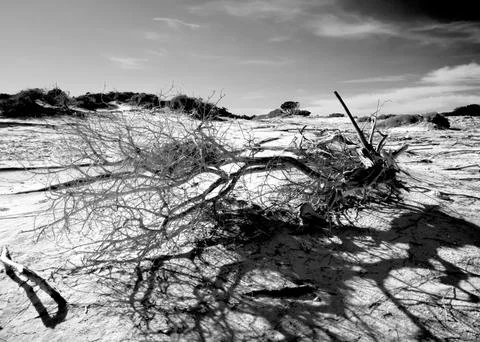 Ses Salines 2 Stock Photos