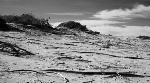 Ses Salines Stock Photos