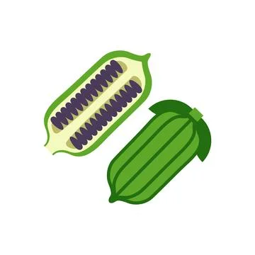 Sesame also known gingelly vector illustration isolated on white background Stock Illustration