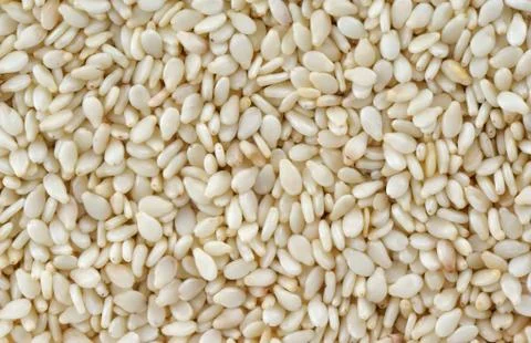 Sesame background Stock Photos