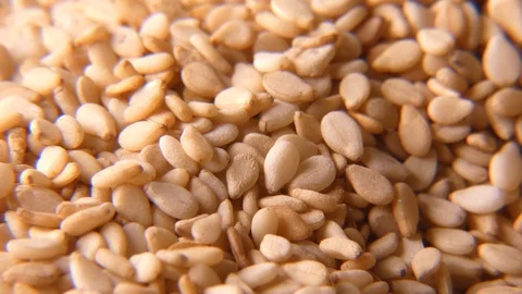 Sesame Stock-Footage 101924812