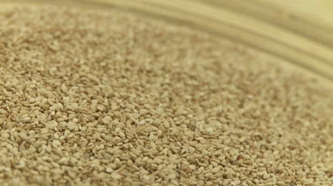 Sesame integral 2 Stock Footage 23276576