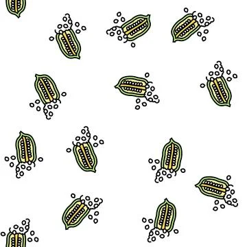 Sesame nut vector seamless pattern イラスト素材