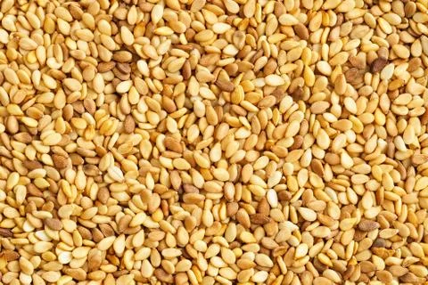 Sesame Stock Photos
