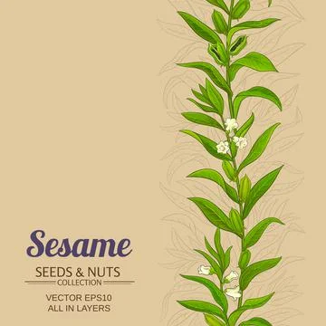 Sesame plant vector pattern on color background Illustrazione stock