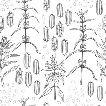 Sesame plant. Vector  pattern. Stock Illustration