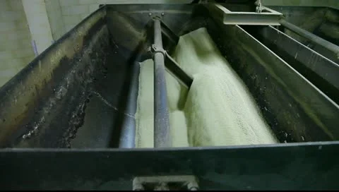 Sesame processing for tahini and halvah Видео 10871538
