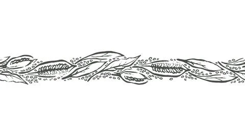 Sesame seamless pattern Vector sketch Nature plant Illustrazione stock