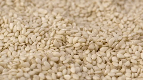 Sesame seed low angle shallow depth of field rotation Stock Footage 86735678