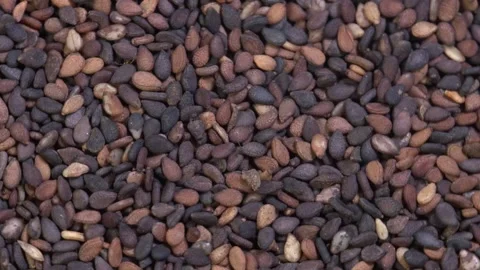 Sesame Seeds Background Video stock 134654068
