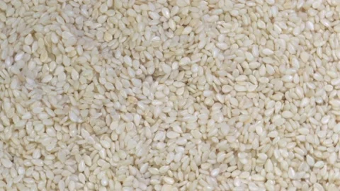 Sesame Seeds Background Stock Footage 134666314