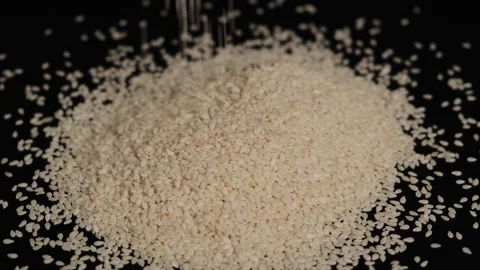 Sesame seeds fall on a black background. Close-up of a pile of white sesame seed Stock Footage 295225237