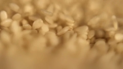 Sesame seeds fall down Stock Footage 93961007