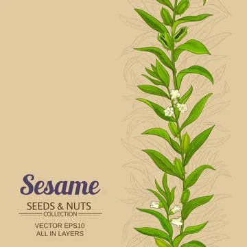 Sesame vector pattern Stock Illustration