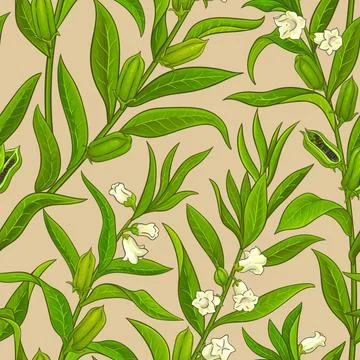 Sesame vector pattern Stock Illustration
