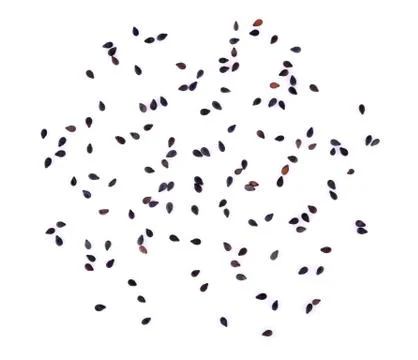 Sesame on white background Stock Photos