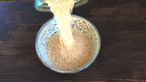 Sesame1 Stock Footage 337504843