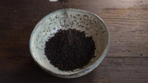 Sesame3 Stock Footage 337504855