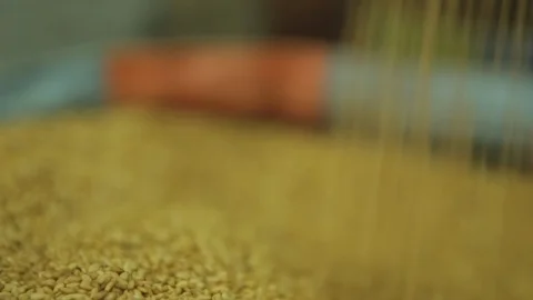 Sesames Piling Up Stock Footage 102178587