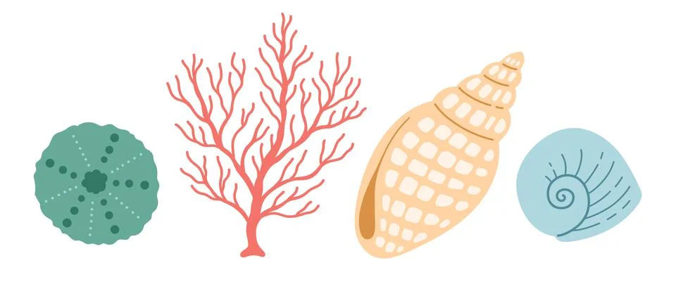 Seshell coral vector, simple color, flat design Stock Illustration