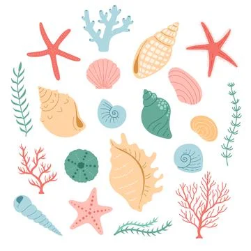 Seshell coral vector, simple color, flat design Stock Illustration