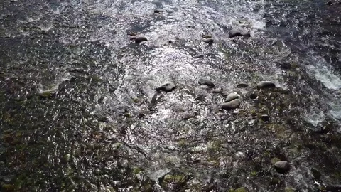 Sesia river Stock Footage 74158732